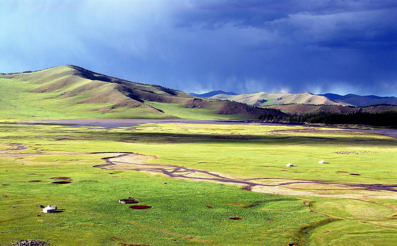 Steppe mongole