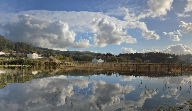 Vargas-etternavnet kommer fra et spansk ord som kan bety oversvømmet jordbruksland.