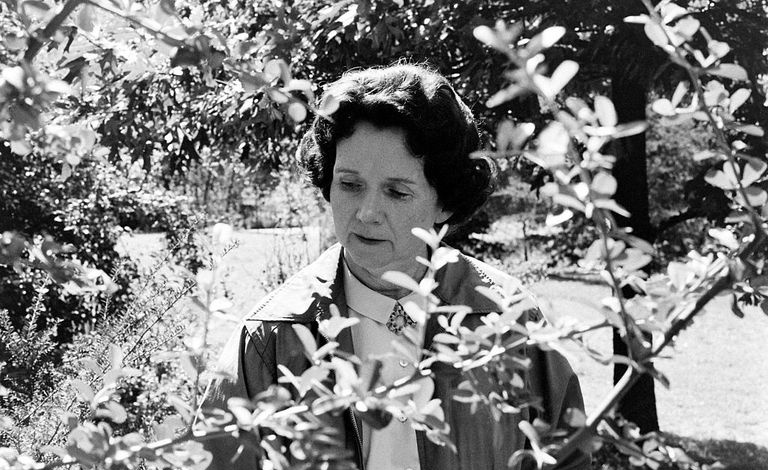 Amerikanische Meeresbiologin und Autorin Rachel Carson, Maryland, 24. September 1962