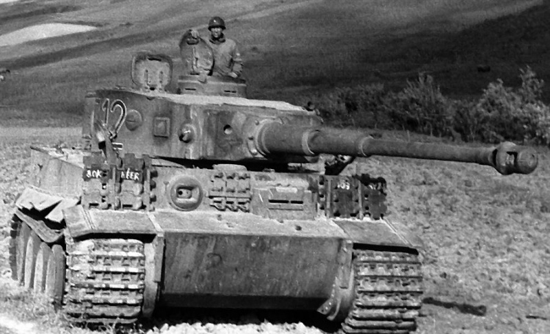Tigre catturata I