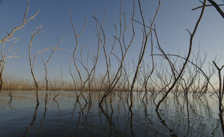 Południowy Teksas Rio Grande Valley