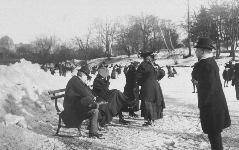 Teich-Skater