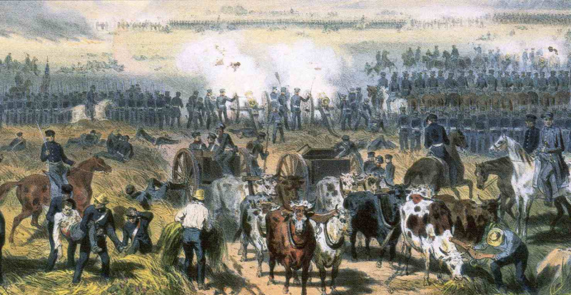 La battaglia di Palo Alto