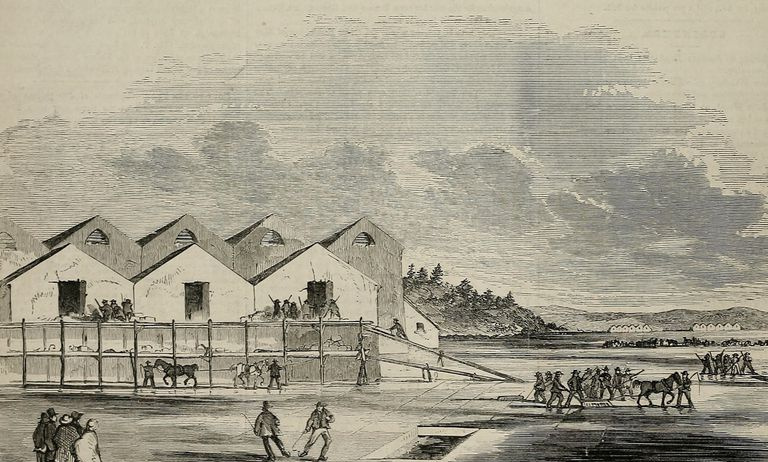 Illustration de la récolte de glace à Cambridge, Massachusetts en 1855