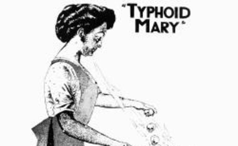 Typhus Mary