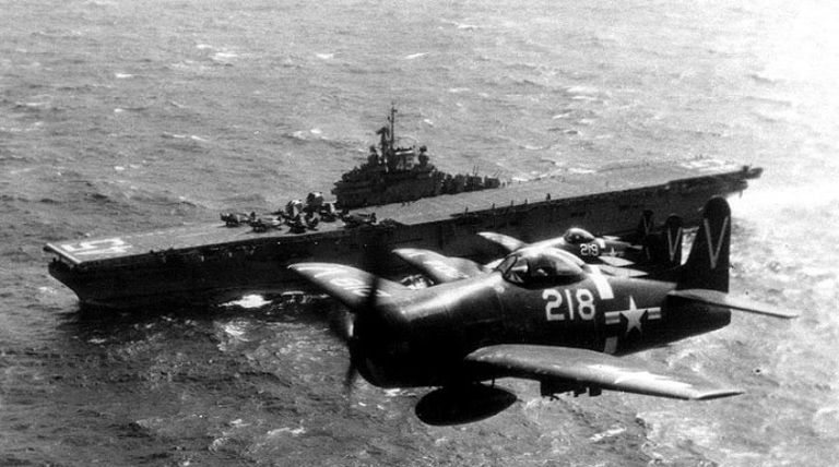 f8f-Bärenkatze-2.jpg