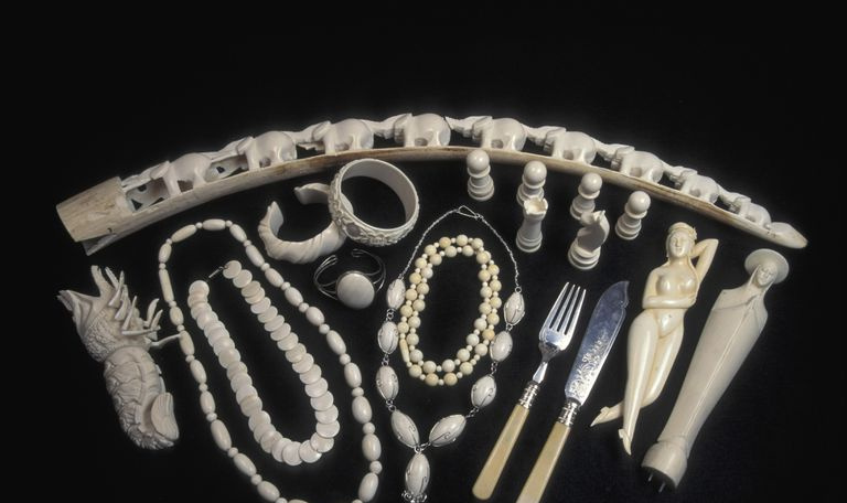 African Ivory-produkter mot svart bakgrunn.