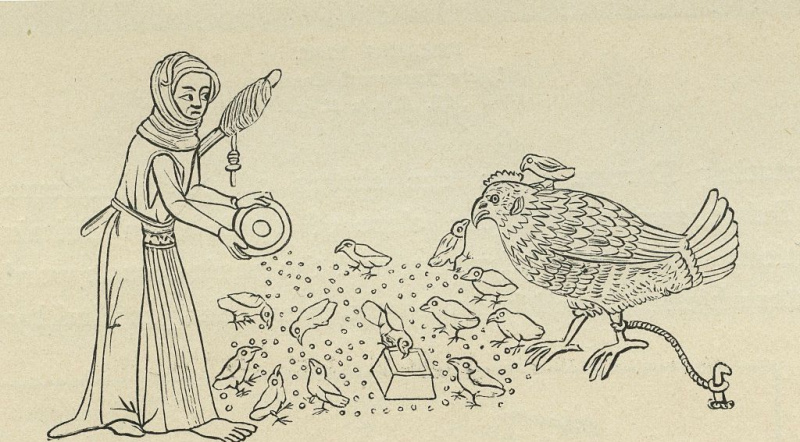 Illustration von Leibeigenen, die Vögel und Hühner füttern