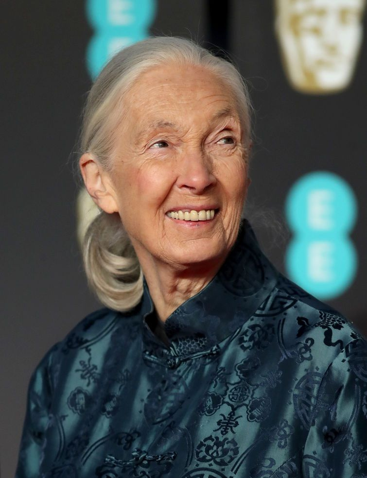 Jane Goodall participa do EE British Academy Film Awards (BAFTAs