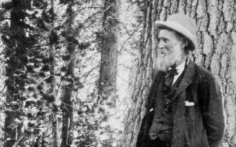 Fotografia de John Muir na floresta