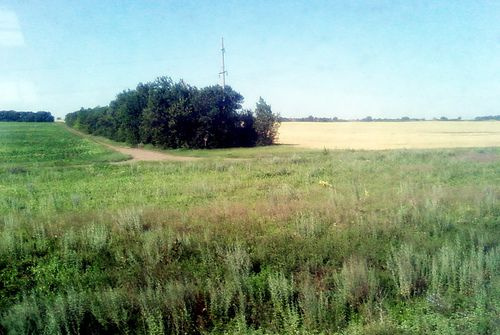 Ukrainas stepes