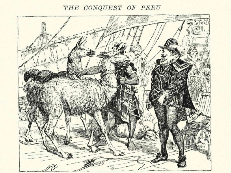 Eroberung Perus - Francisco Pizarro sieht Lamas