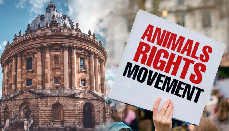filozofie oxfordská skupina vegetariánství práva zvířat