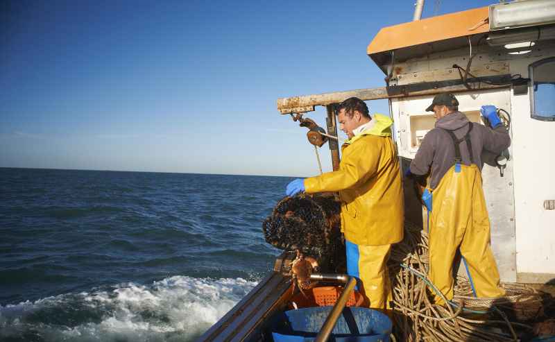 Pescadores profissionais em um barco.