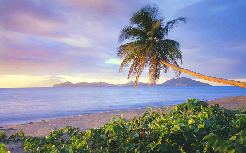 Saint-Kitts est l