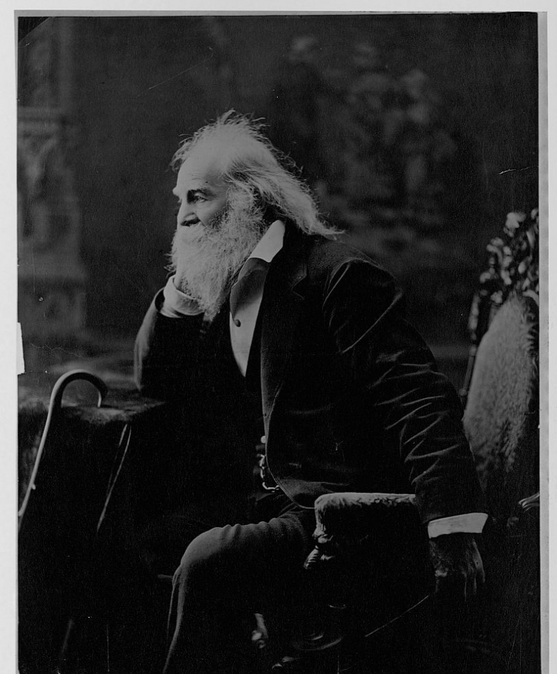 portret Walta Whitmana