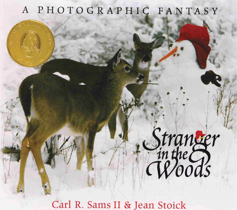 Stranger in the Woods av Carl R. Sams