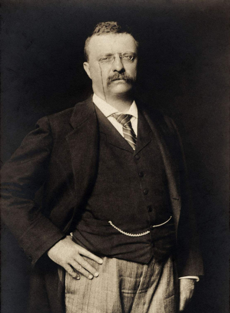 Prezydent Theodore Roosevelt