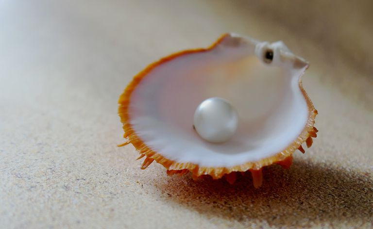 Pearl siedzi w muszli na piaszczystej plaży z bliska.