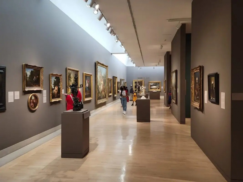   Dallas Museum of Art
