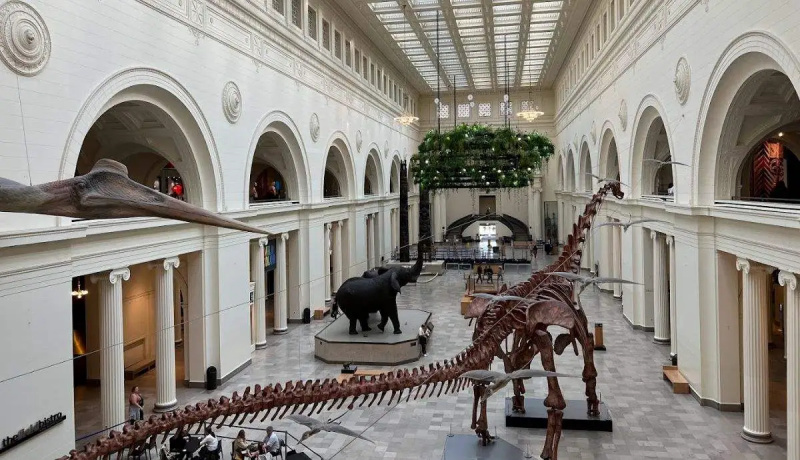   Muzeum Field w Chicago