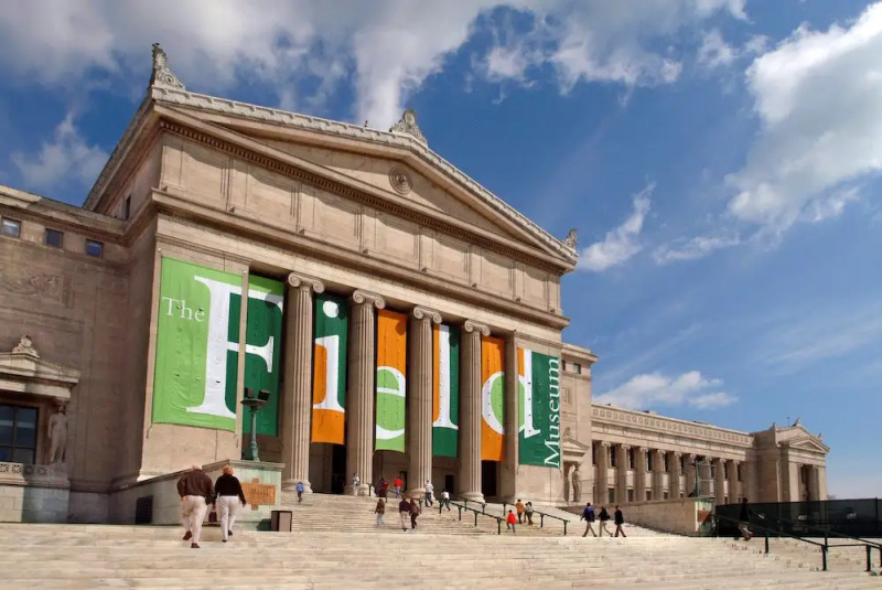   Muzeum Field w Chicago