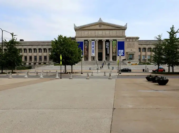   Muzeum Field w Chicago