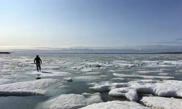   Artic