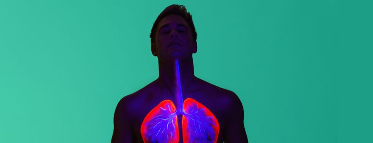 pulmones humanos