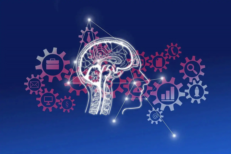 raisonnement-cerveau