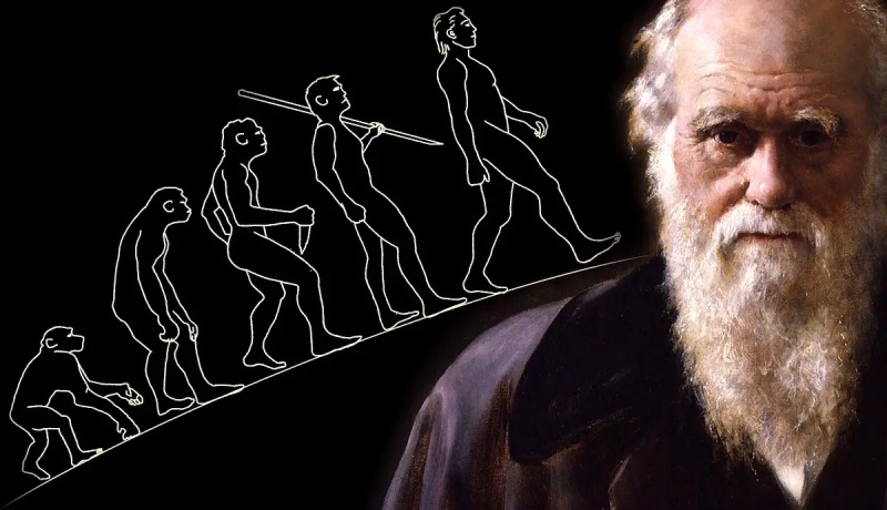   charles darwin importanti contributi alla filosofia