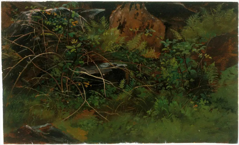   estudio de la pintura de la naturaleza
