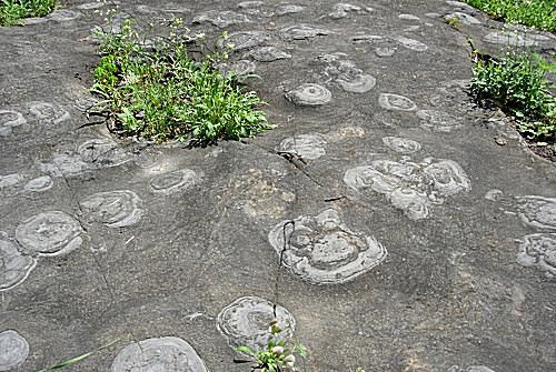 Centrale de stromatolithes