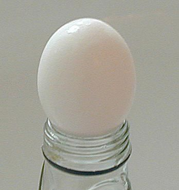 Egg på flaske