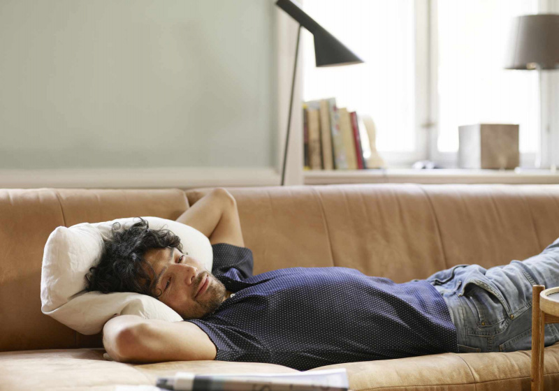 Puisis guļ uz dīvāna un skatās televizoru