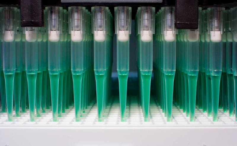 rDNA