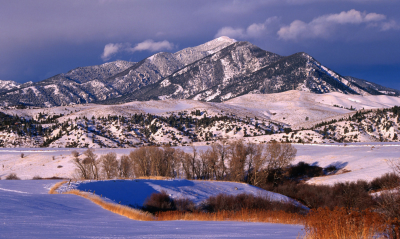 zima-Bozeman Montana