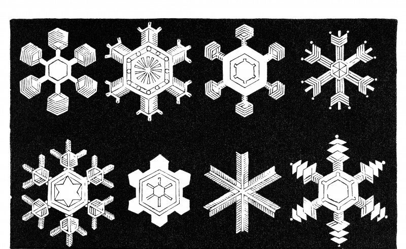 La forma di un fiocco di neve dipende dalla temperatura alla quale si è formato.
