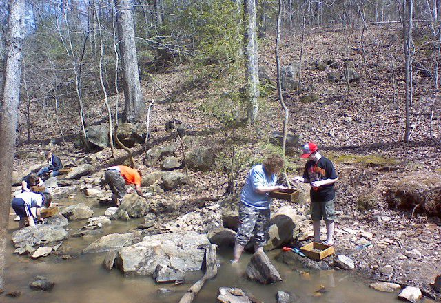 w Creek