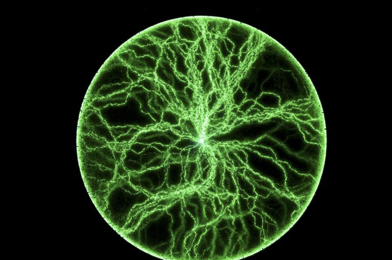 Lichtenberg-figurer sporer veien elektrisitet tar gjennom et materiale.