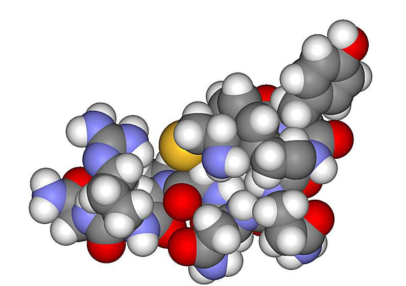 Questo è un modello di riempimento dello spazio di arginina vasopressina o ormone antidiuretico (ADH).