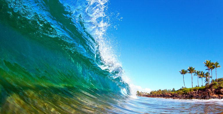 Hawaiisk krøll