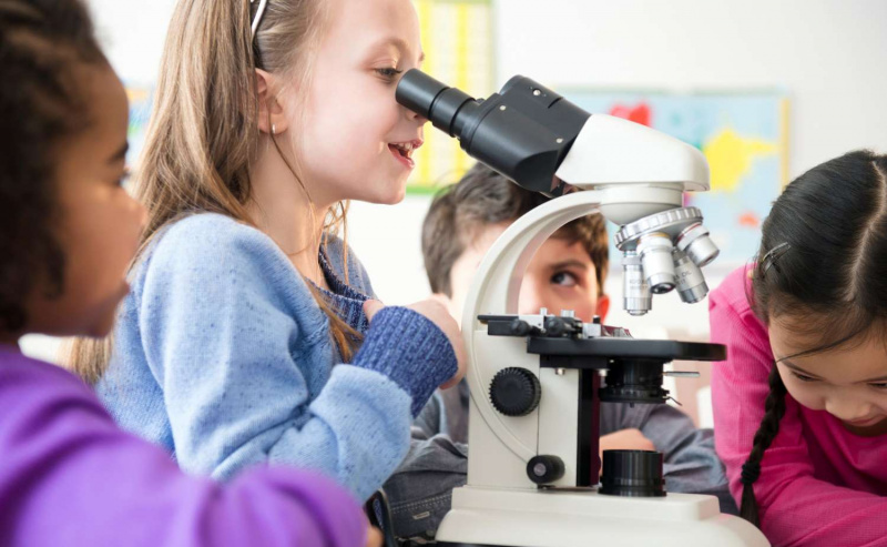 Quatre enfants mènent une expérience scientifique en utilisant un microscope pour faire des observations