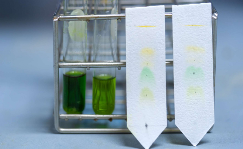 Esempio di cromatografia su strato sottile