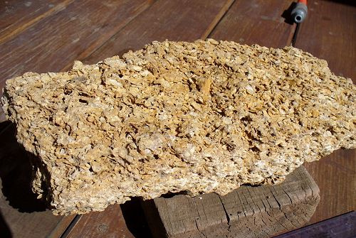 Coquina est un type de calcaire composé de fragments de fossiles de coquillages