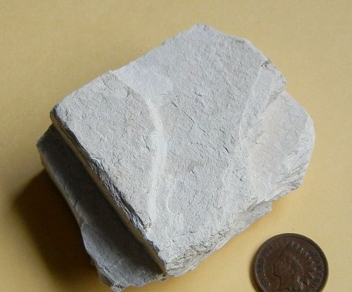 La diatomite lisse et grise est une roche inhabituelle et utile composée de coquilles microscopiques de diatomées
