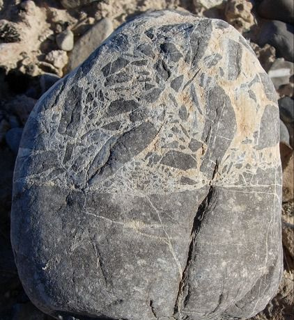 La brèche est une roche avec des clastes anguleux pointus dans une masse souterraine à grain fin. Ce spécimen, de Upper Las Vegas Wash dans le Nevada, est probablement une brèche de faille
