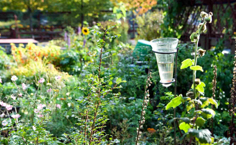Um pluviômetro meio cheio em um jardim florescendo