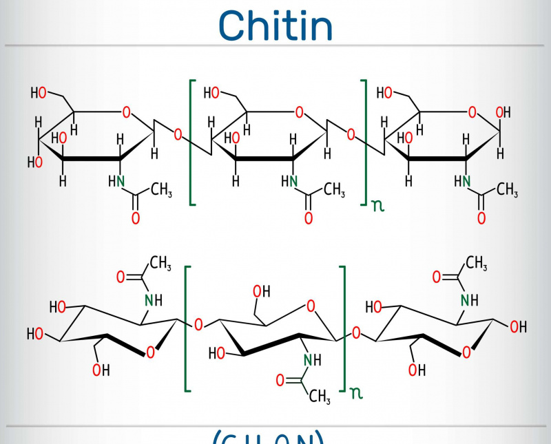 Estructura química de la quitina