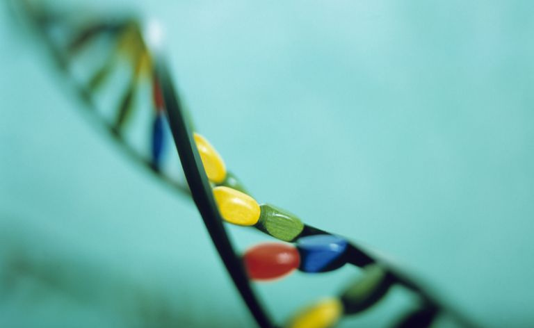 DNA-modell